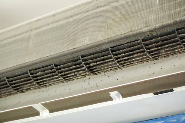 Best Best Air Duct Cleaning Near Me  in Reading, OH